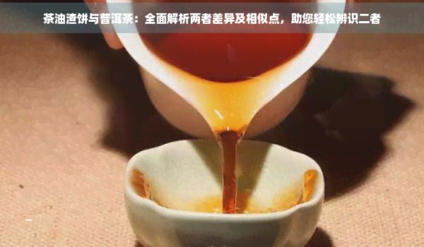 茶油渣饼与普洱茶：全面解析两者差异及相似点，助您轻松辨识二者