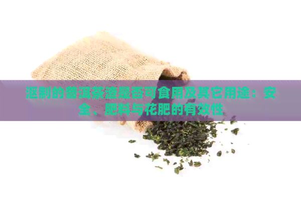 漚制的普洱茶渣是否可食用及其它用途：安全、肥料與花肥的有效性
