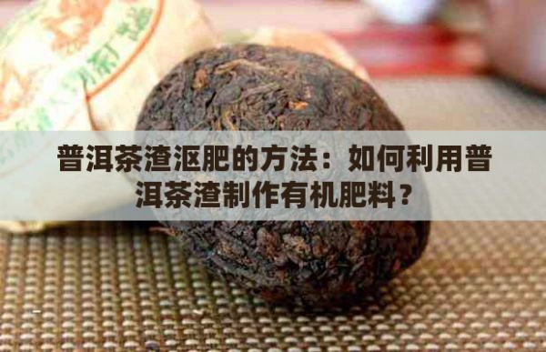 普洱茶渣沤肥的方法：如何利用普洱茶渣制作有机肥料？