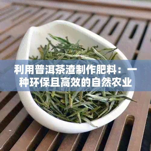 利用普洱茶渣制作肥料：一種環(huán)保且高效的自然農(nóng)業(yè)方法