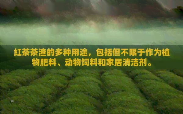 红茶茶渣的多种用途，包括但不限于作为植物肥料、动物饲料和家居清洁剂。