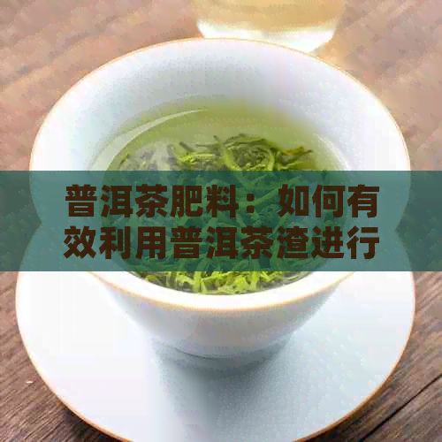 普洱茶肥料：如何有效利用普洱茶渣進(jìn)行植物養(yǎng)護(hù)？