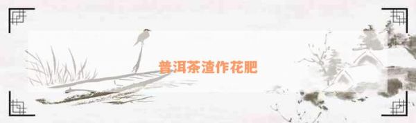 普洱茶渣作花肥