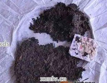 普洱茶渣作花肥
