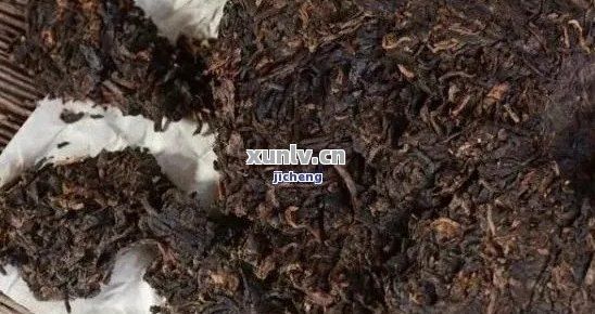 普洱茶渣作花肥