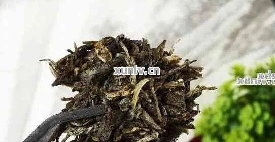 普洱茶渣作花肥
