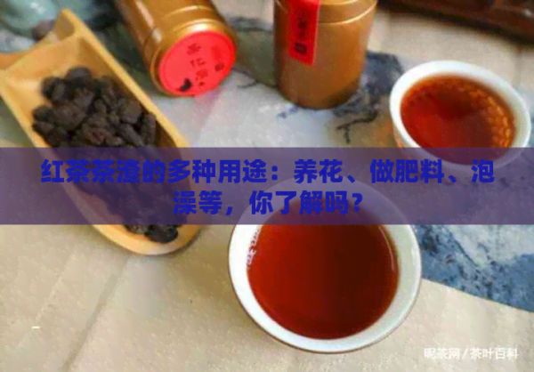 紅茶茶渣的多種用途：養(yǎng)花、做肥料、泡澡等，你了解嗎？