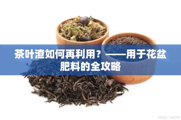 茶葉渣如何再利用？——用于花盆肥料的全攻略