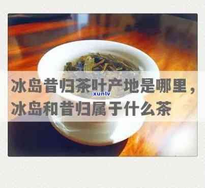 茶叶渣如何再利用？除了泡茶，它还有这些用途