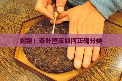 揭秘：茶叶渣应如何正确分类