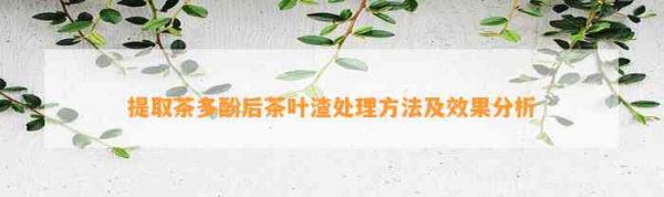 提取茶多酚后茶叶渣处理 及效果分析