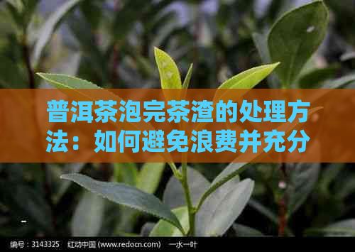 普洱茶泡完茶渣的处理方法：如何避免浪费并充分利用茶渣