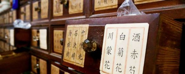 食疗白发变黑发 白发变黑发偏方 食疗治白发