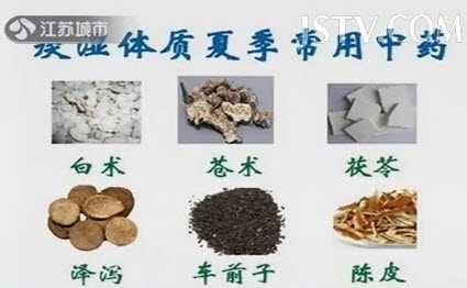 20130822萬家燈火視頻和筆記:佟彤，白常繼講痰濕體質(zhì)，滋補藥膳