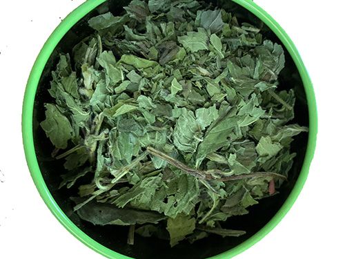 荆芥和薄荷的区别