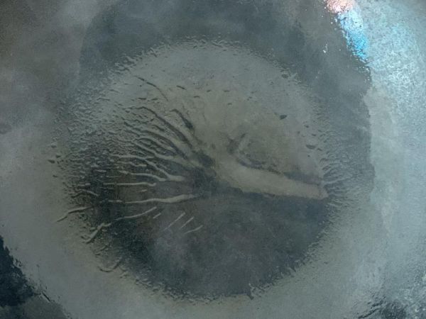 純奶手撕吐司的做法 步驟1
