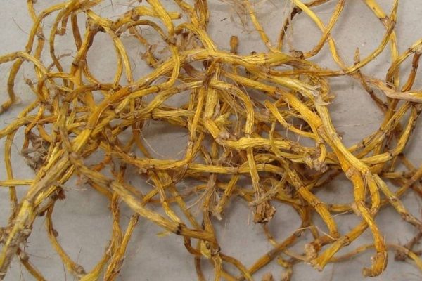 小環(huán)釵的功效與作用