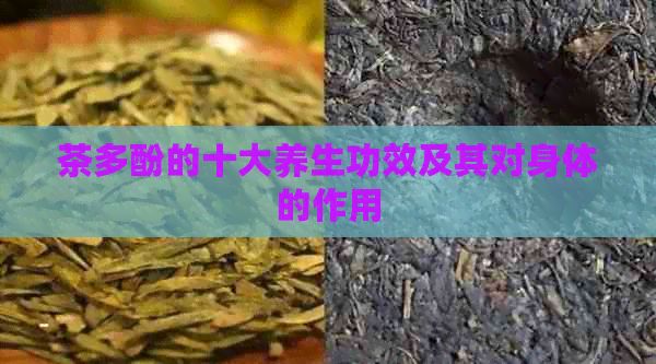茶多酚的十大养生功效及其对身体的作用