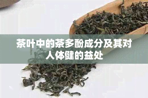 茶葉中的茶多酚成分及其對(duì)人體健的益處