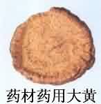 藥材藥用大黃