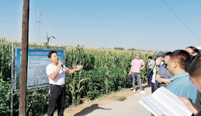 立足全域的綠色農(nóng)業(yè)解決方案
