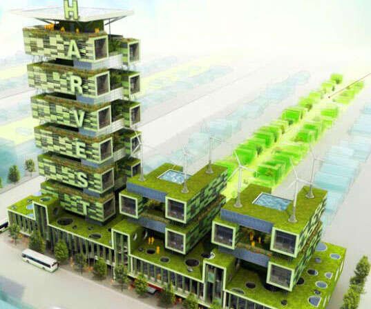 vertical farm, urban centers, urban farming, local farming, organic, organic produce, local, sustainable farming, vertical farm