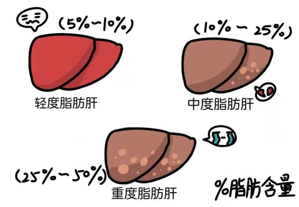 6603710a49043.png