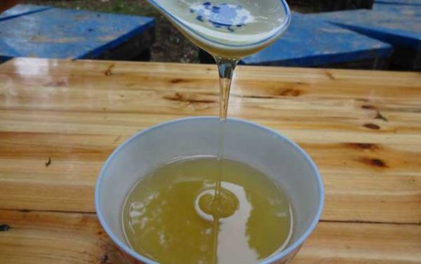 蜂蜜綠茶減肥原理及正確喝法