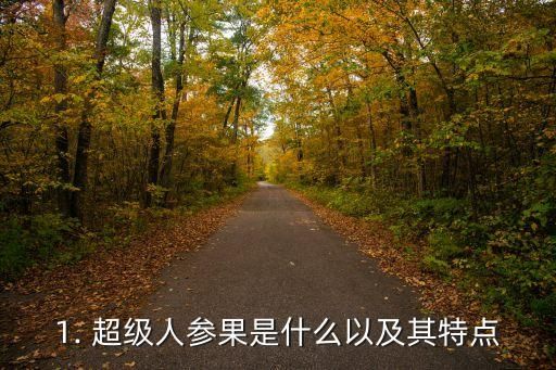 1. 超级人参果是什么以及其特点
