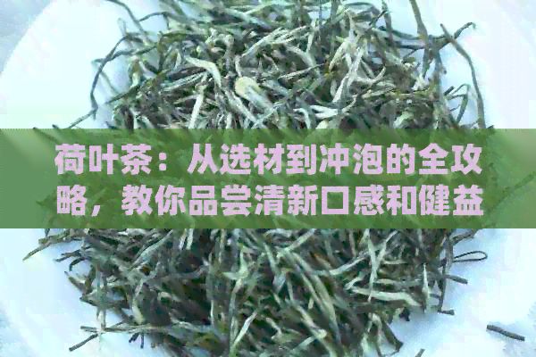 荷葉茶：從選材到?jīng)_泡的全攻略，教你品嘗清新口感和健益處！