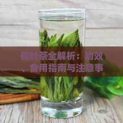 荷葉茶全解析：功效、食用指南與注意事項(xiàng)