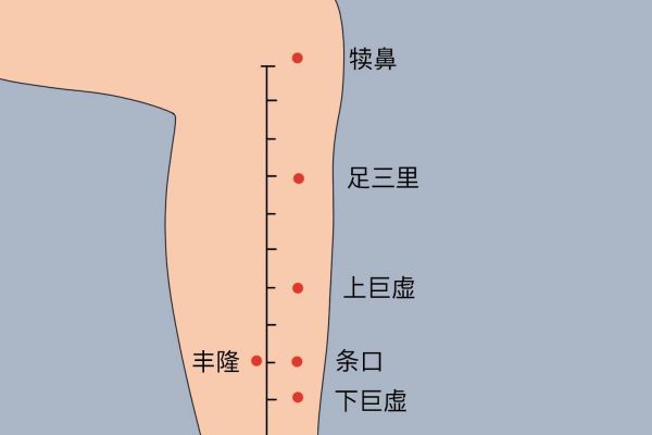 足三里位置圖