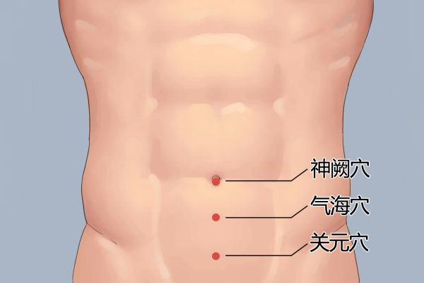 關(guān)元位置圖