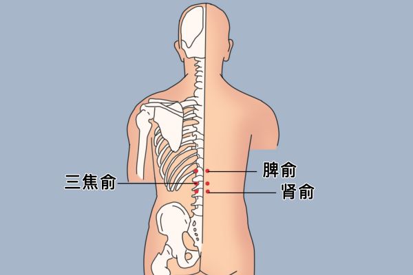 三焦俞位置圖