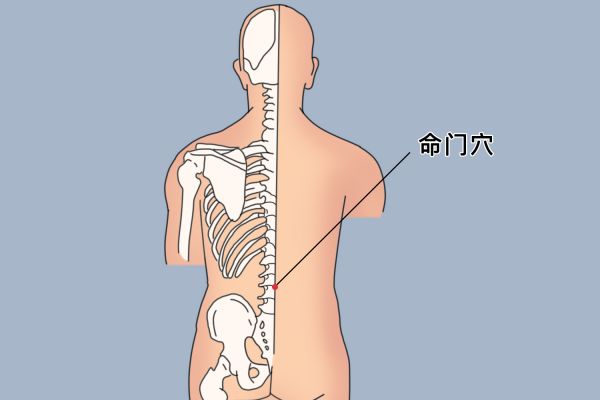 命門位置圖