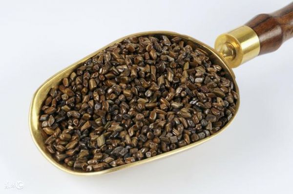 喝決明子茶一個月減肥十斤，健康減肥效果明顯，你減了嗎？