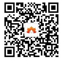 杭州市滨江区丹枫幼儿园.jpg