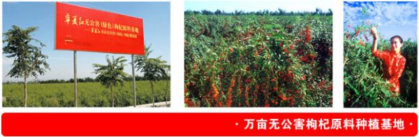 寧夏紅枸杞酒