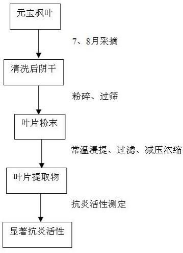 一種具有抗炎活性的元寶楓葉提取物及其制備方法