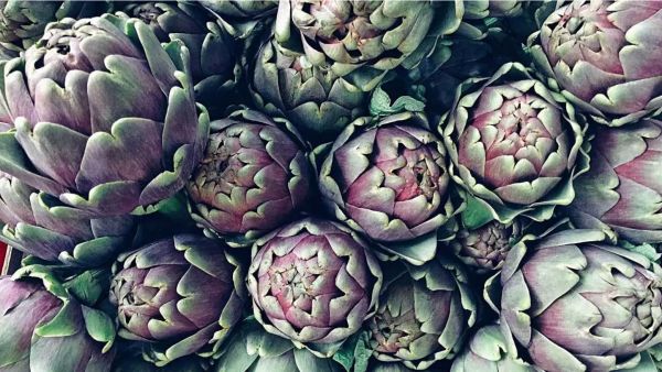 Artichoke