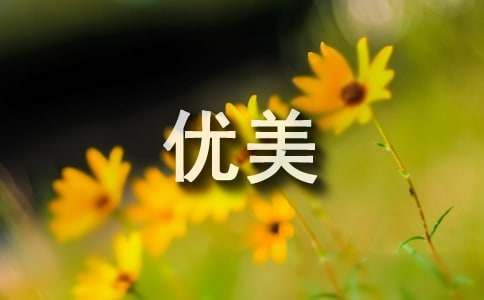 枫叶优美散文