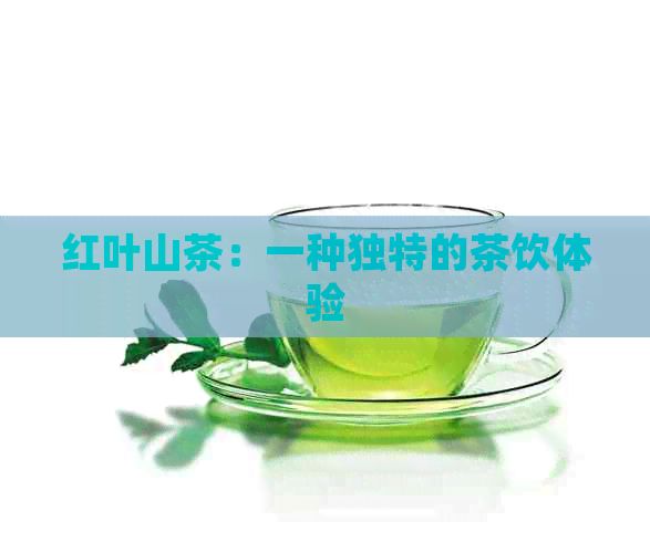 紅葉山茶：一種獨(dú)特的茶飲體驗(yàn)