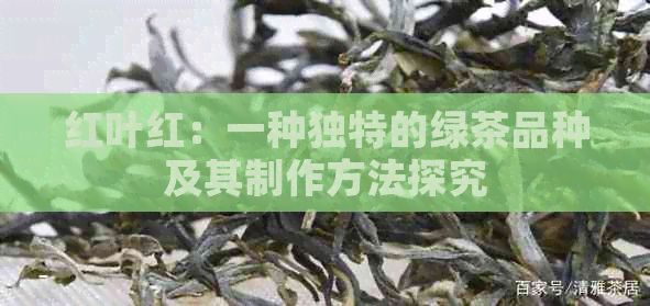 紅葉紅：一種獨(dú)特的綠茶品種及其制作方法探究