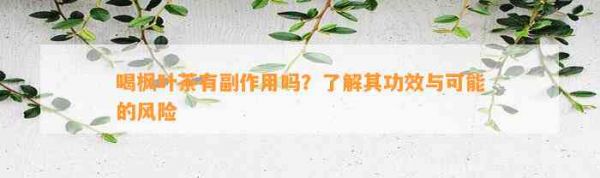 喝楓葉茶有副作用嗎？了解其功效與可能的風(fēng)險(xiǎn)