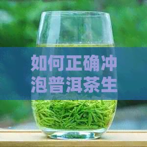 如何正确冲泡普洱茶生茶？让茶叶释放出口感的方法解析