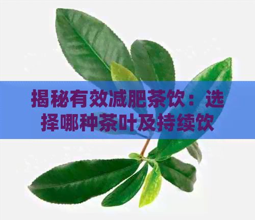 揭秘有效减肥茶饮：选择哪种茶叶及持续饮用时间