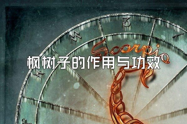 楓樹子的作用與功效