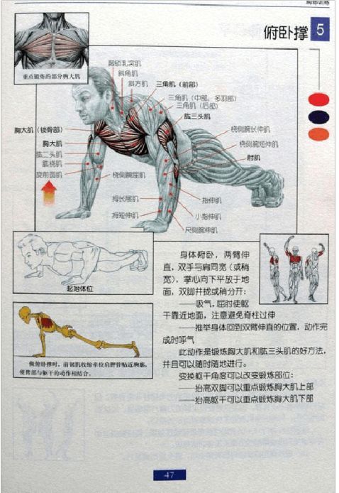 全身肌肉健身计划