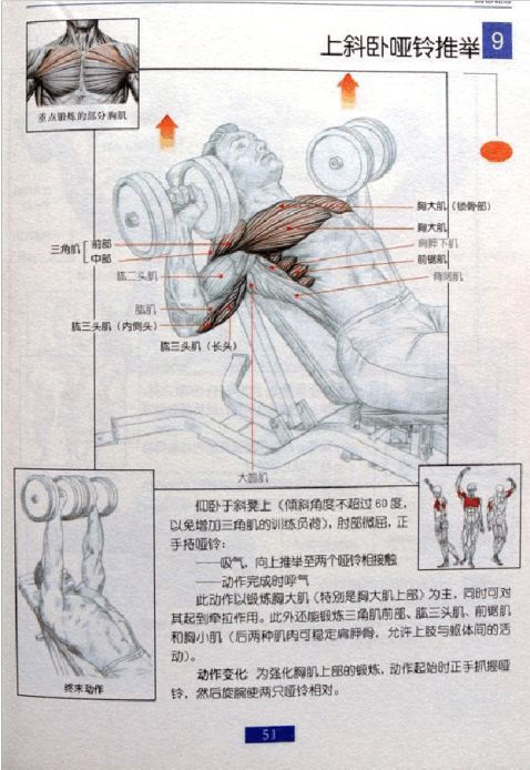 全身肌肉健身计划