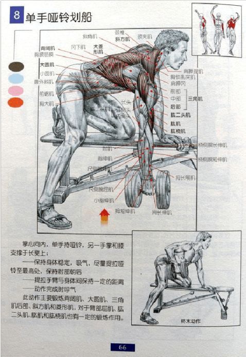 全身肌肉健身计划